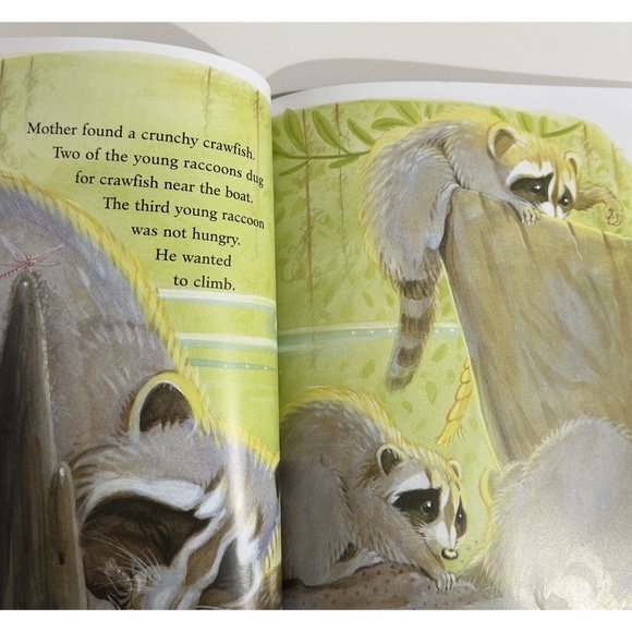 Raccoon On His Own (Imagination Library) - Firm Softcover By Arnosky, Jim - LN - Picture 7 of 8